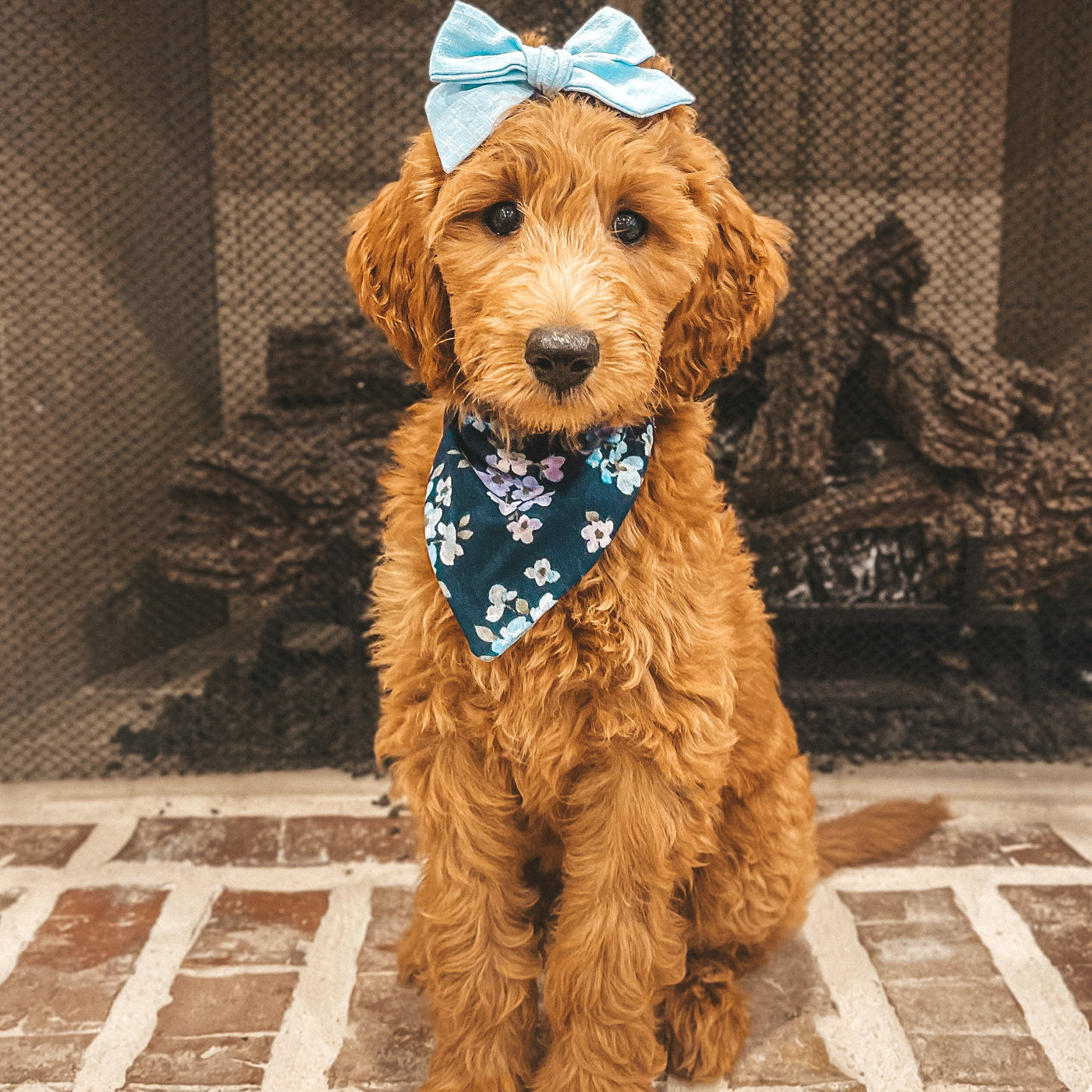 Cheetah Dog Bandana